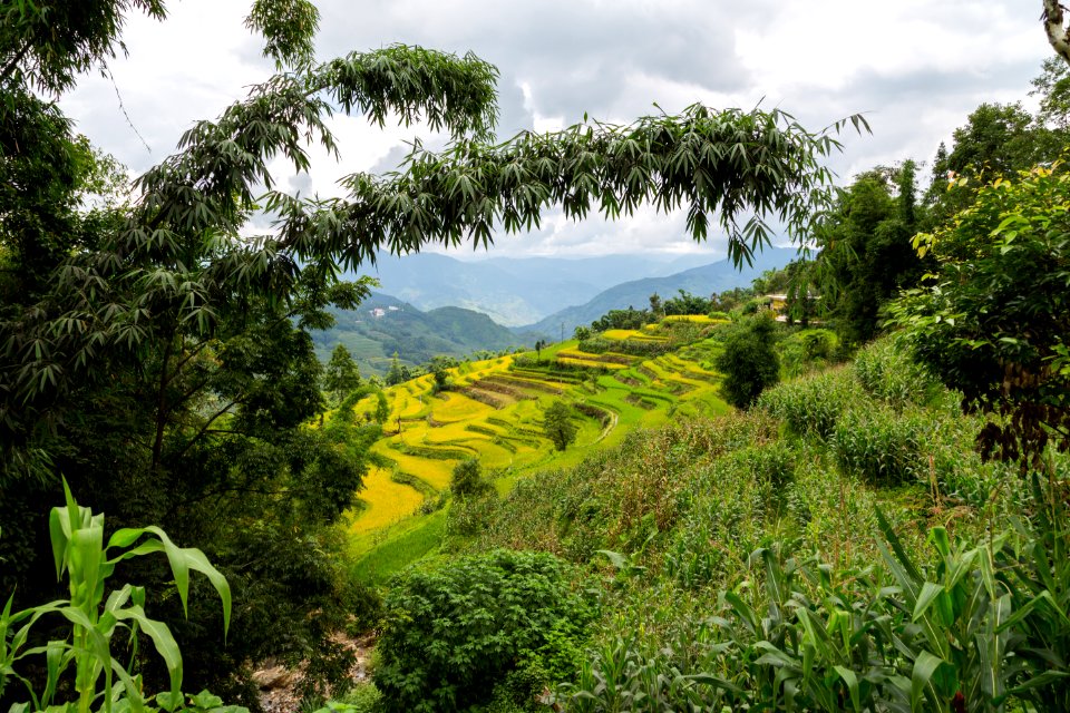 China, Yuanyang, Honghe