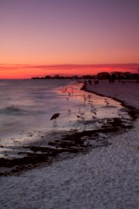 Saint pete beach, United states, Sea