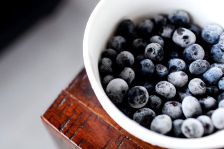 blueberries in white cup photo