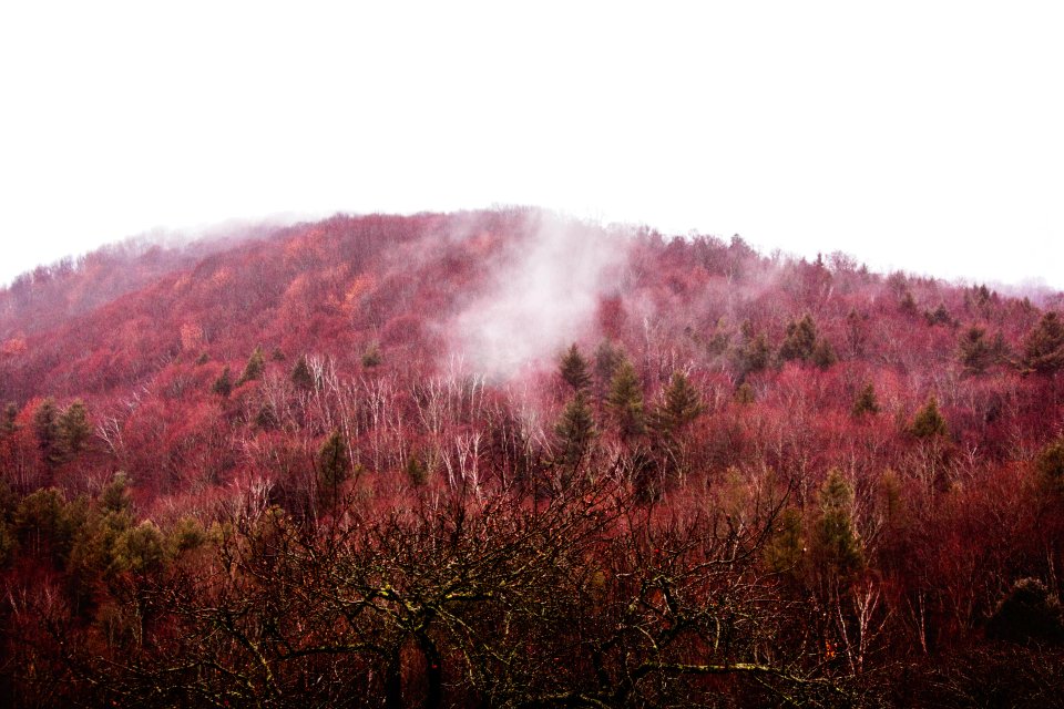 North pomfret, Pomfret, United states