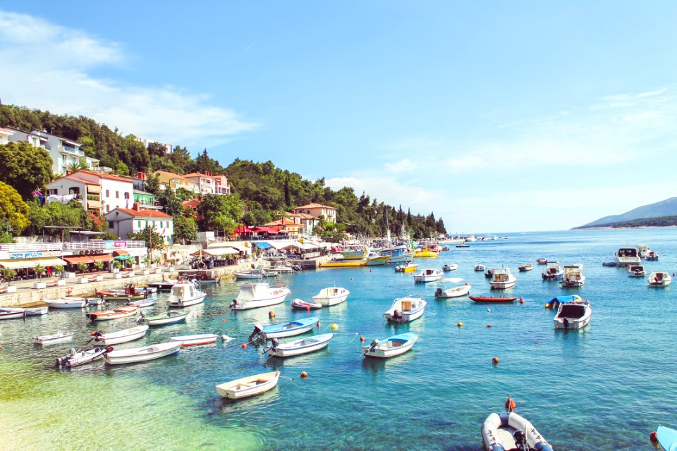 Croatia, Rabac, Trees