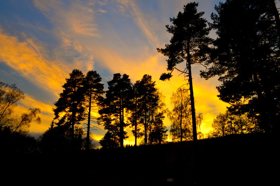 Sognsvann, Norway, Sky