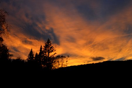 Scape, Sunset, Trees photo