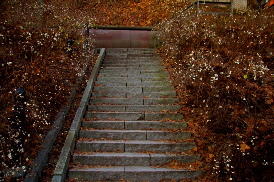Autumn, Urban, Stairs
