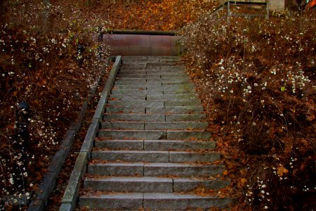 Autumn, Urban, Stairs photo