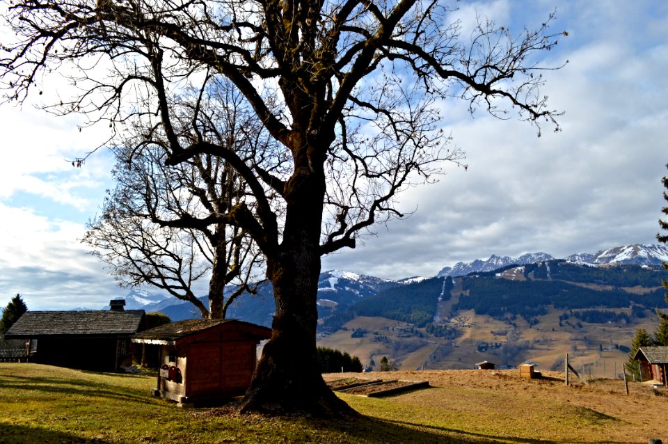 Mountain, View, Scape