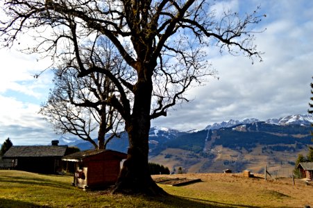 Mountain, View, Scape