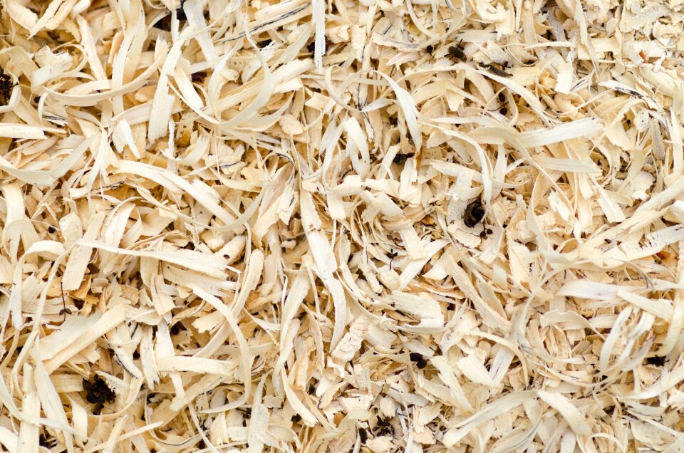 Material construction wooden
