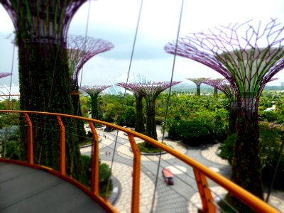 Singapore, Gardens