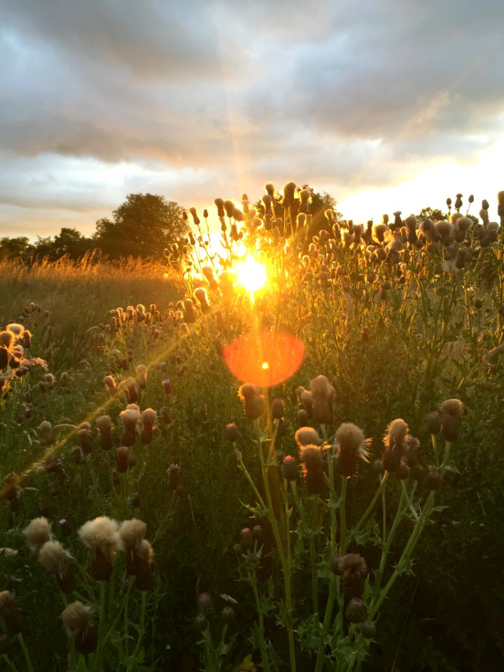 Coldstream, Scotl, United kingdom