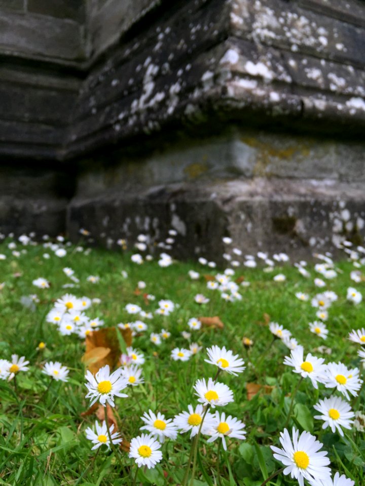 Dunkeld, Scotl, United kingdom