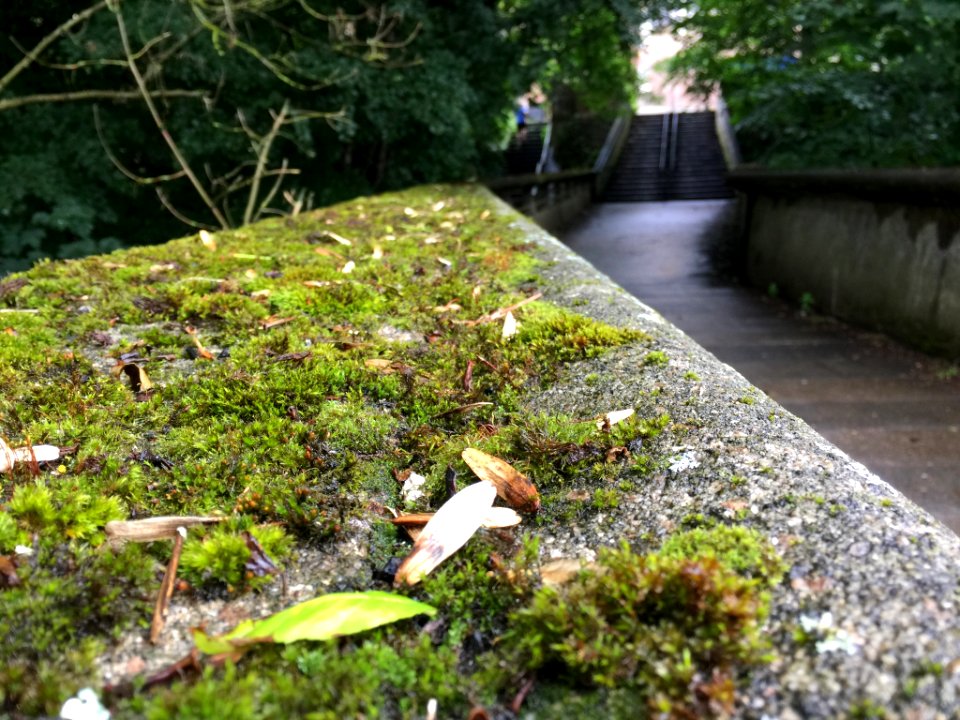 Durham, Engl, United kingdom