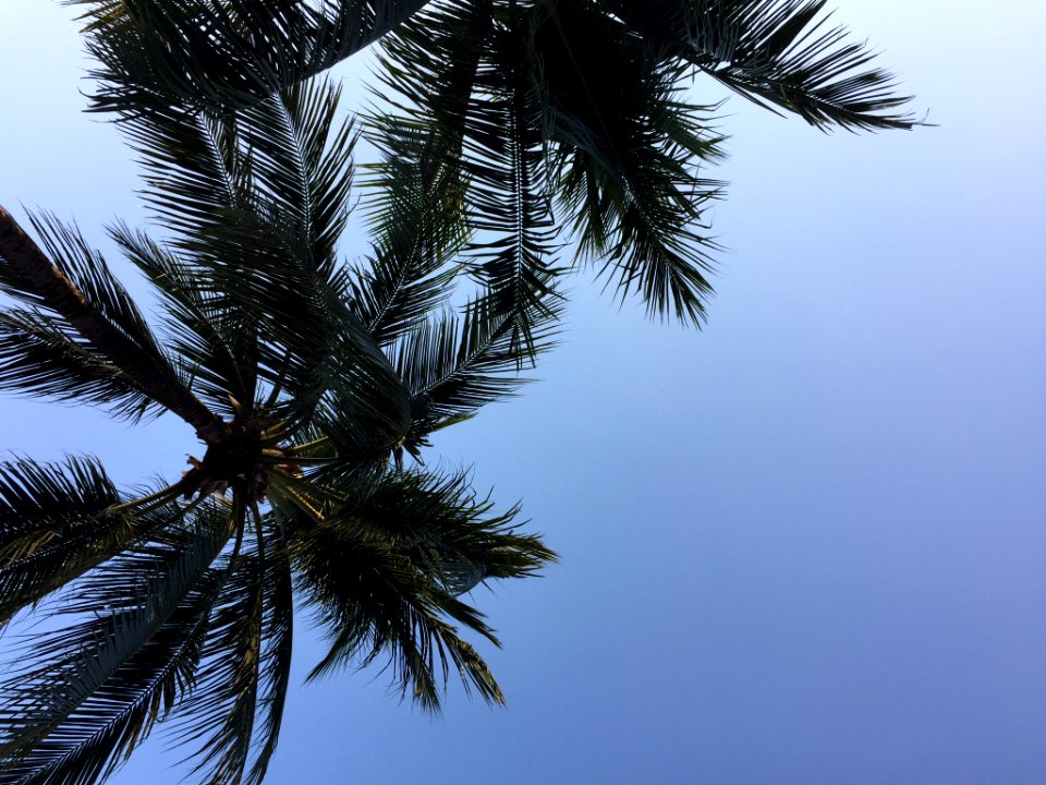 Thail, Choeng thale, Phuket