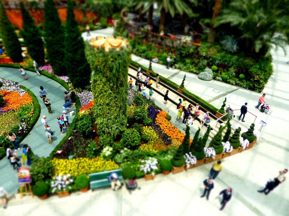 Singapore, Marina bay s, Horticulture