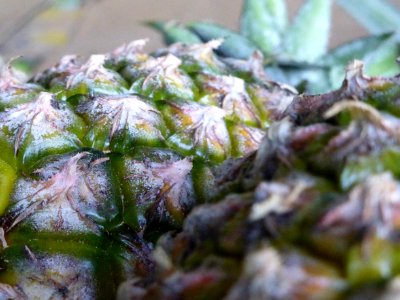 Thail, Phuket, Fruit