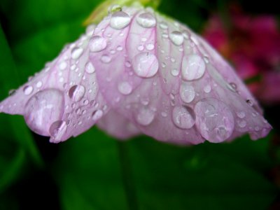Columbus, Usa, Droplet