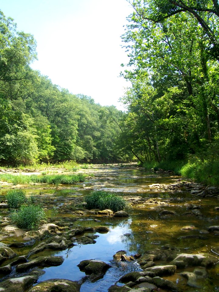 Erson falls, Summer, North 1140 county road east