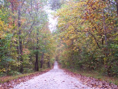 Columbus, Usa, Rural