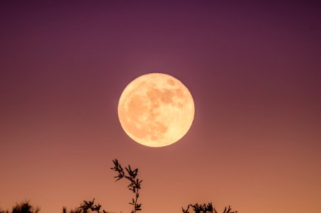 November, Moonset, Sky