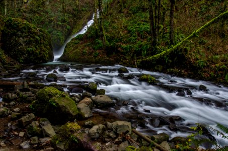 river between trees during daytime photo