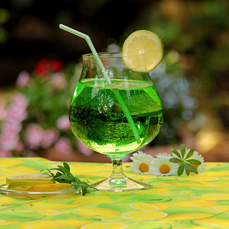 Plant woodruff punch drink