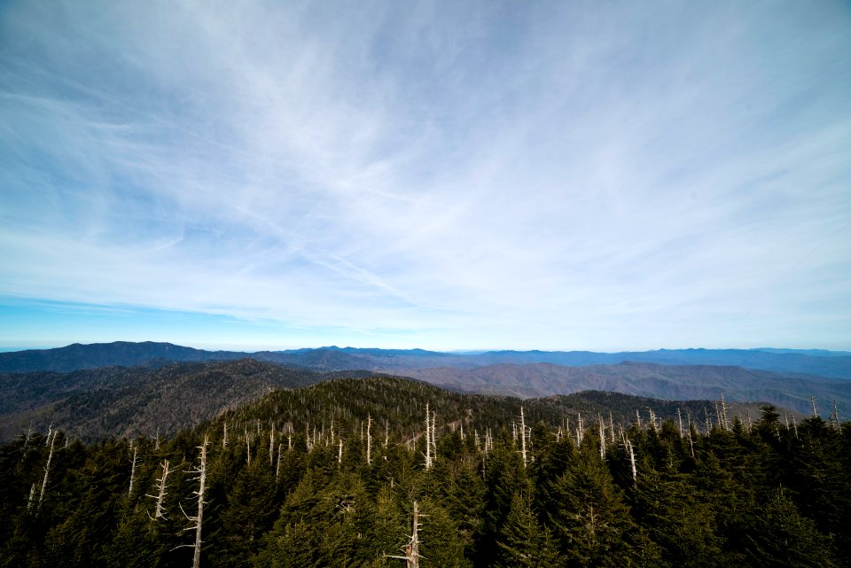Great smoky mountains, United states, Scenic