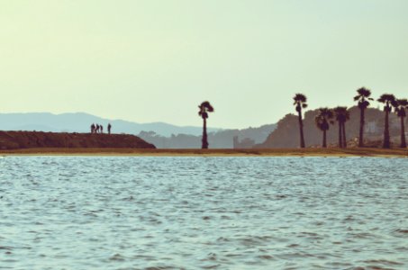 Nature, Clean, Hope