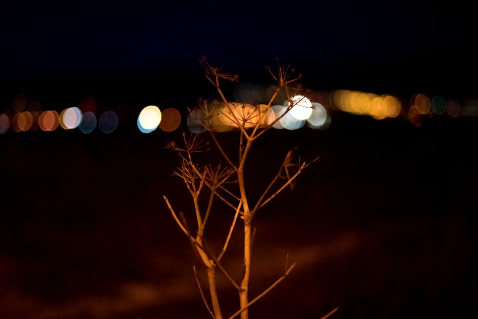 Night, Water, Lights