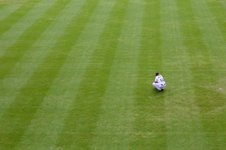 Durham bulls, Durham, United states
