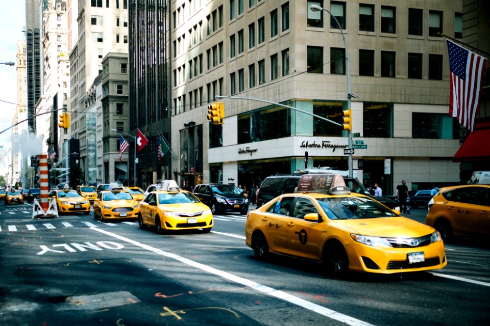 5th avenue, New york, United states