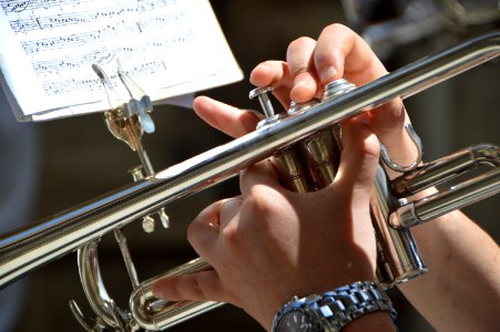 Brass section, Orchestra, Brass b photo