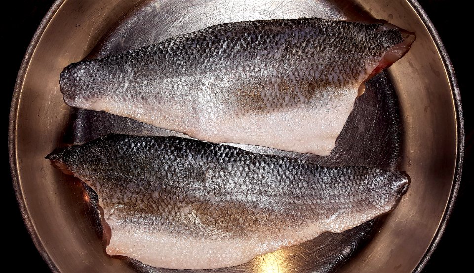 Sea fish, Pisces, Food photo
