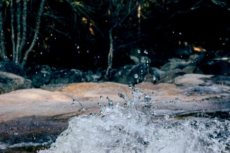 Woods, River, Motion