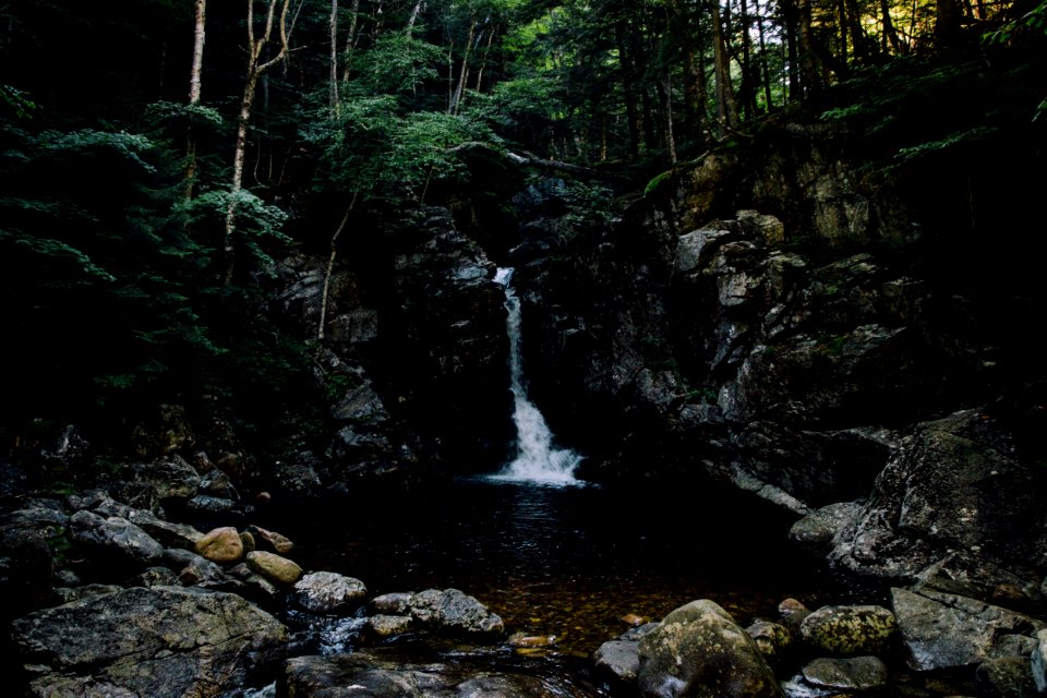 River, Woods, Water photo