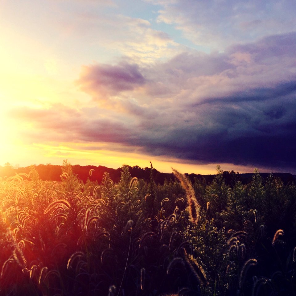 Sky, Field, Conflict