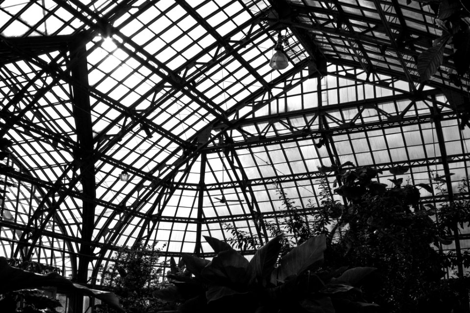 300 n central park ave, Chicago, United states