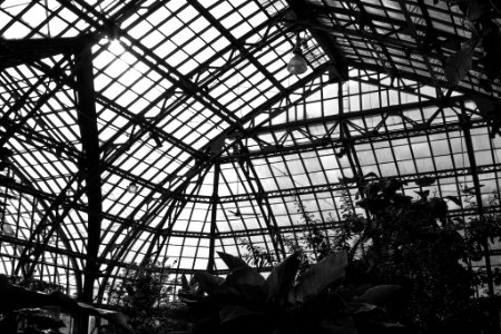 300 n central park ave, Chicago, United states