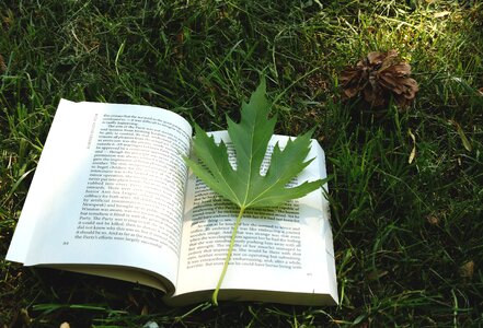Sheet grass reading