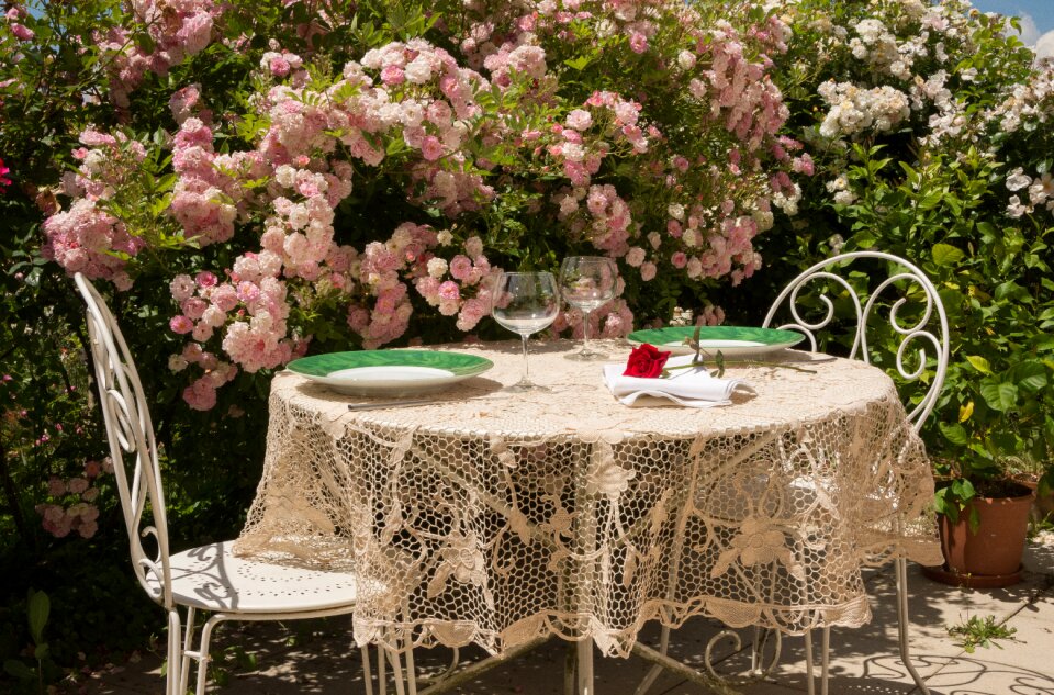 Tablecloth relaxation roses