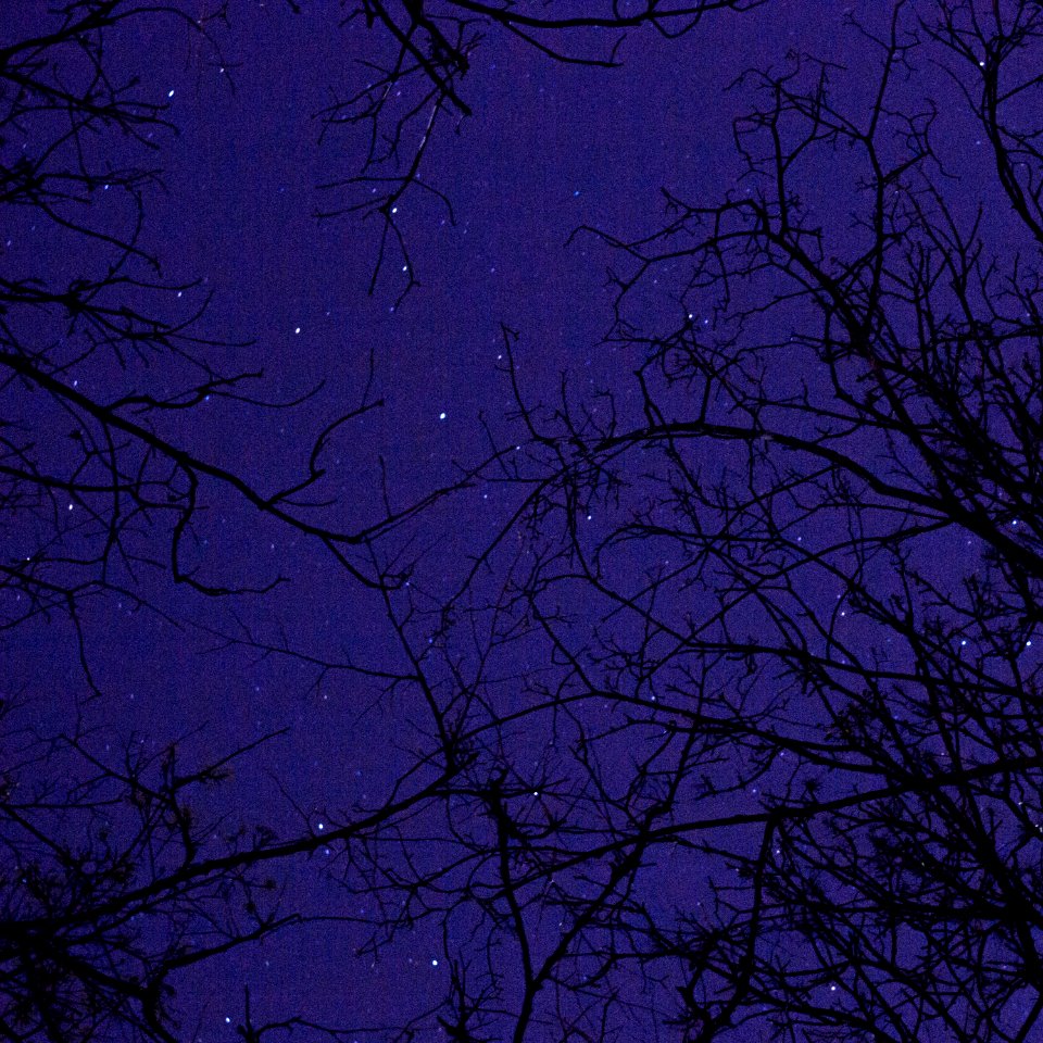 Outdoor, Sky, Stars