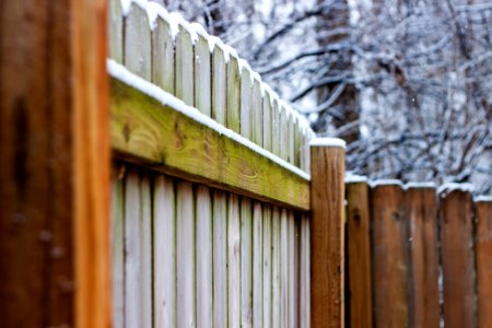 Alia, United states, Snow photo