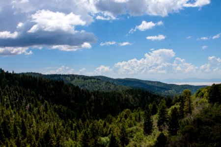 Lincoln national forest, Alamogordo, United states