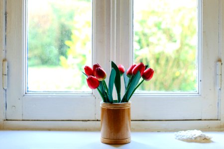 red tulips on clear glass jar photo