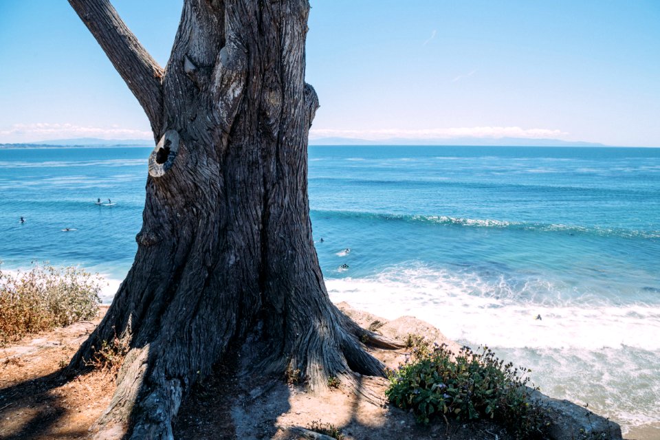 Santa cruz, United states, Sufer