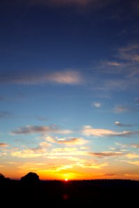 Blue, Orange, California