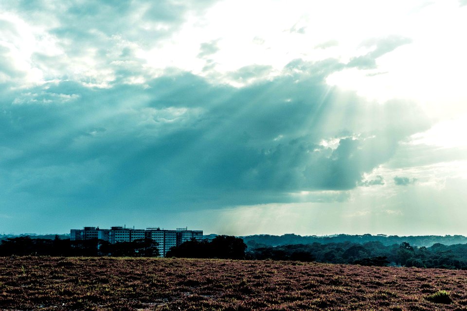 Scape, Sun ray, Hillside