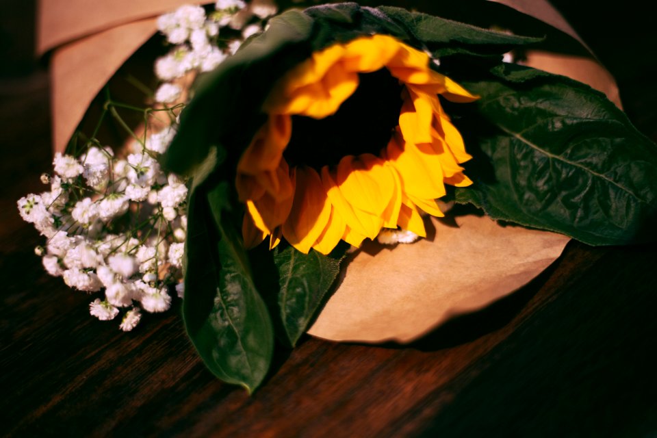 Amour, Bouquet, Flowers