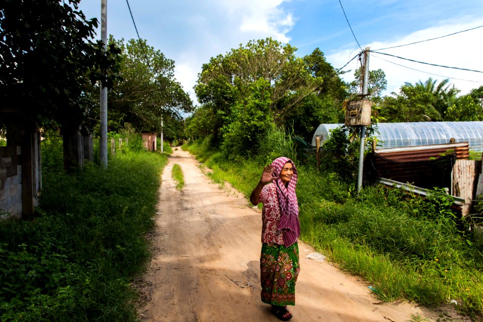 Forest, Wilderness, Footpath