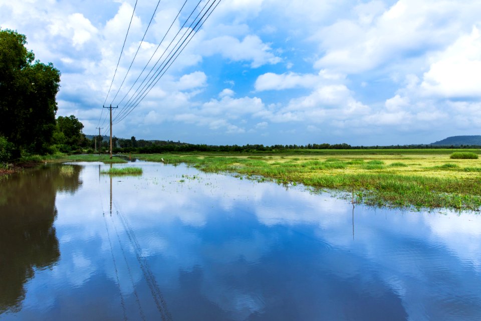 Pole, Skyline, Rice field