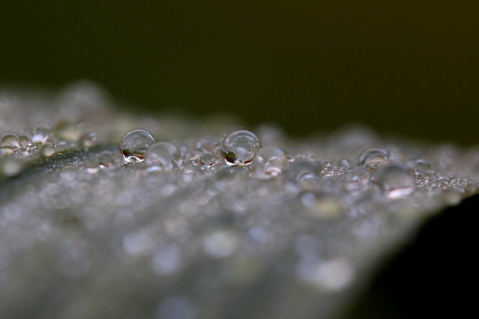 Golcar, United kingdom, Bubbles